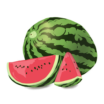 スイカ スイカ,西瓜,果物,野菜,水瓜のイラスト素材