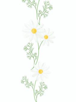 Vertical and horizontal daisy background/frame, JPG and PNG Vertical and horizontal daisy background/frame, spring, margaret, background, JPG and PNG