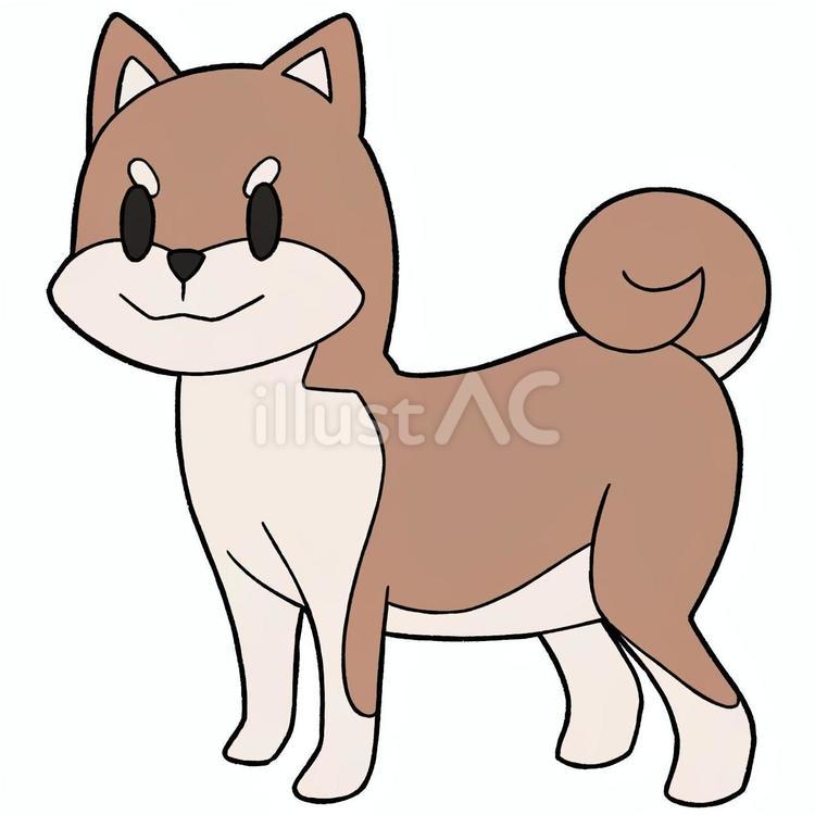 しば犬（茶） 犬,しば犬,動物のイラスト素材