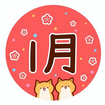 柴犬と梅の花の1月 柴犬,犬,動物,梅の花,丸円形,1,1月,月,月刊,暦のイラスト素材