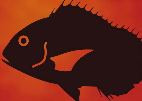 Red sea bream ♯ red sea bream, JPG, PNG and AI Red sea bream ♯ red sea bream, red sea bream, red snapper, thailand, JPG, PNG and AI