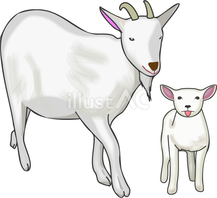 ヤギ　 ヤギ,親子,子ヤギのイラスト素材