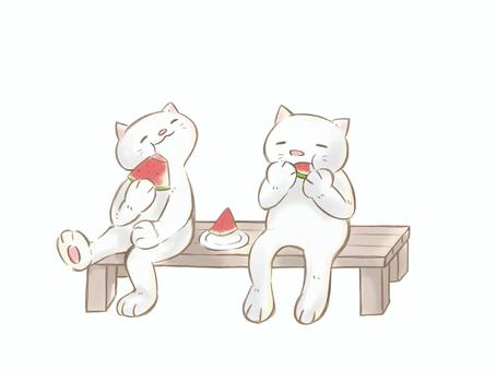 スイカを食べる猫たち 猫,スイカ,おやつ,のんびり,手描き,カットイラスト,挿絵,動物,擬人化,デフォルメのイラスト素材