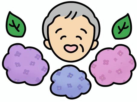 紫陽花とおじいちゃん シニア,高齢者,介護のイラスト素材