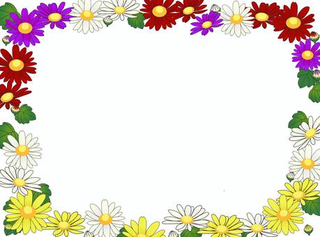 野菊花架圖解, JPG 和 PNG 野菊花架圖解, 野菊花, 框架, 可愛的, JPG 和 PNG