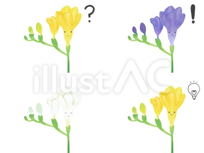 花のキャラの表情セット 考 フリージア
