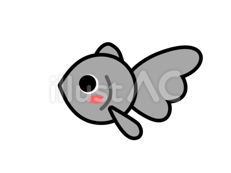 金魚ちゃん　黒 金魚,デメキン,金魚すくいのイラスト素材