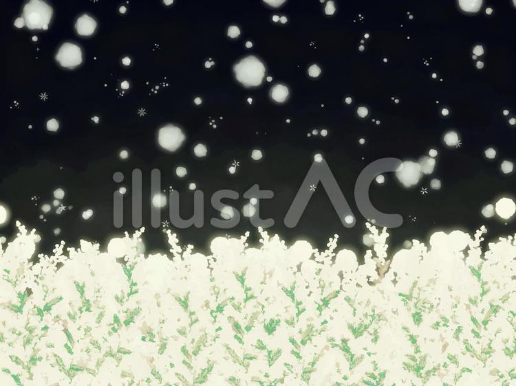 夜空に光るミモザの花畑の風景 横長,ミモザ,花のイラスト素材