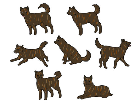 插圖, 啟狗, 虎犬, 中型犬, 