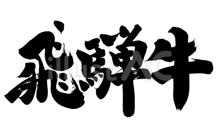 飛騨牛 筆字,筆文字,筆書きのイラスト素材