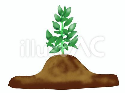 園芸の土寄せ作業