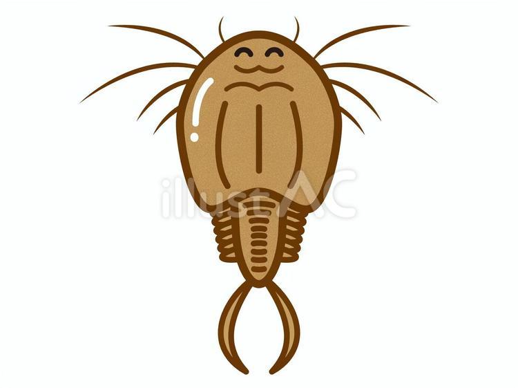 笑顔のカブトエビのイラスト素材 カブトエビ,甲殻類,生き物のイラスト素材