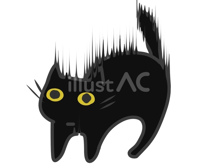 毛を逆立てる猫　黒 猫,黒,ペットのイラスト素材