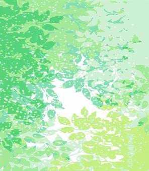 Grass Grass