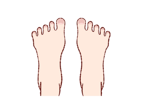 足の甲 足の甲,爪,体,指,素材,右足,左足のイラスト素材