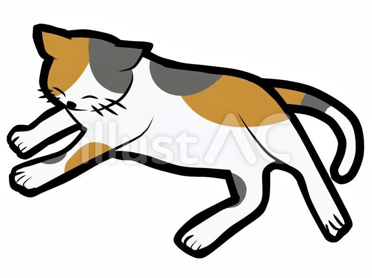 三毛猫(寝転び) 猫,三毛猫,ミケのイラスト素材