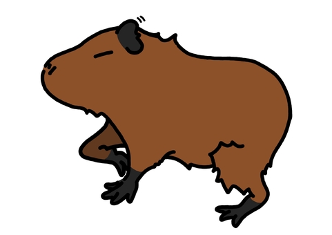 カピバラ カピバラ,オニテンジクネズミ,動物,癒やし,可愛い,のほほん,まったりのイラスト素材