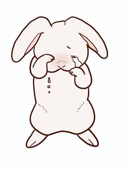 悲しいうさぎちゃん ウサギ,擬人化,泣く,寂しい,悲しい,涙のイラスト素材