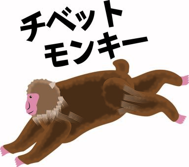 插图, 藏猴, 灵长类动物, 长臂猿, 