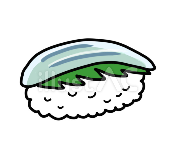 イカのお寿司 イカ,にぎり寿司,寿司のイラスト素材