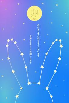 Illustration, new year's card, constellation, 2023, 