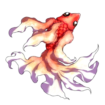 赤い金魚 魚,金魚,赤色,白色,ひらひらのイラスト素材