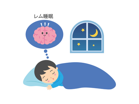 睡眠3 睡眠3 睡眠,脳,レム睡眠,寝る,眠り,男の子,子供,窓,夜,月のイラスト素材