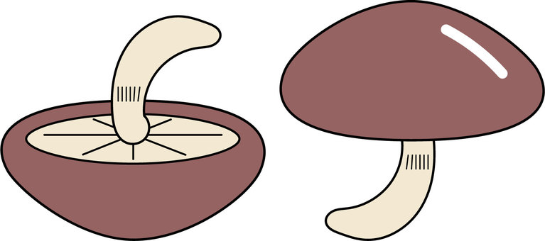 Illustration, shiitake, shiitake mushroom, mushroom, JPG, PNG and AI