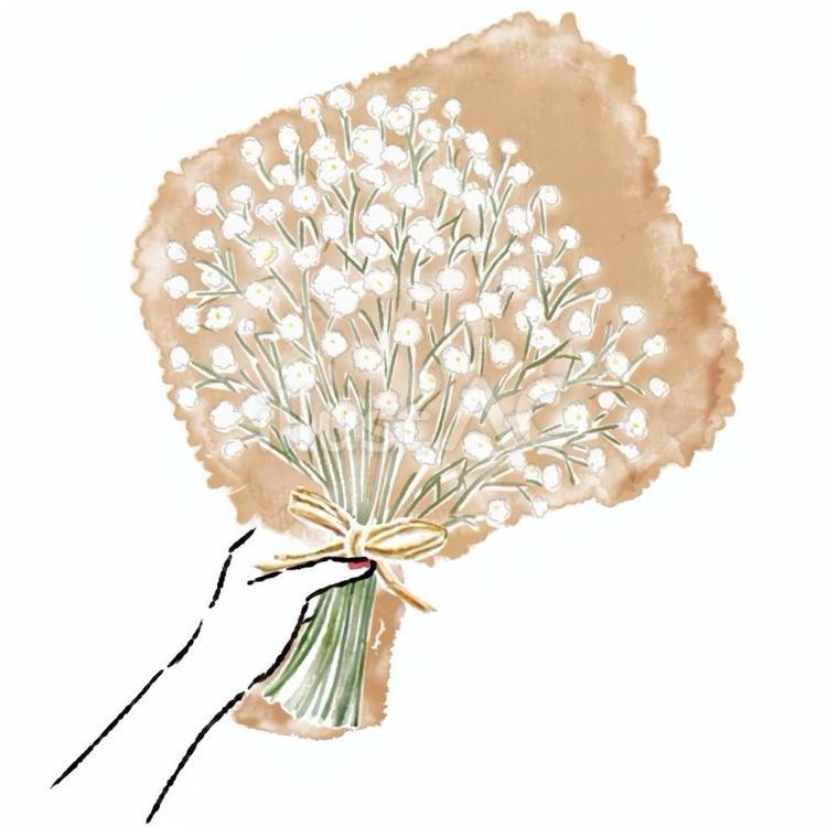 カスミソウ　かすみ草　ブーケ　手 カスミソウ,カスミ草,手のイラスト素材