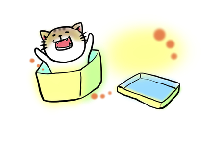 箱から飛び出す猫