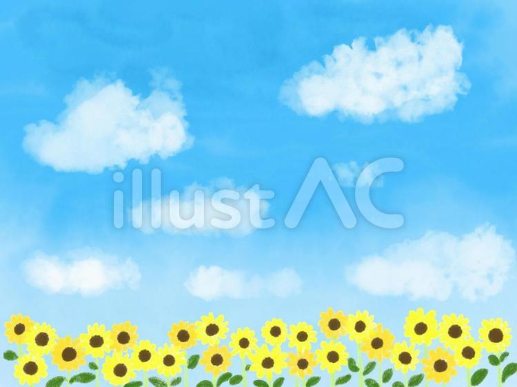 青空とひまわり 空,夏,花のイラスト素材