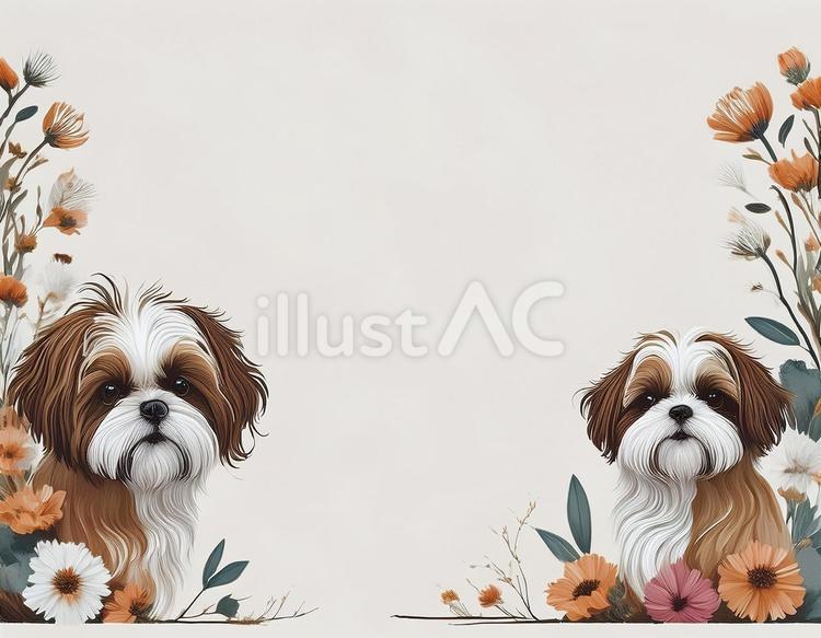 シーズー　背景　フレーム　素材 犬,フレーム,動物のイラスト素材
