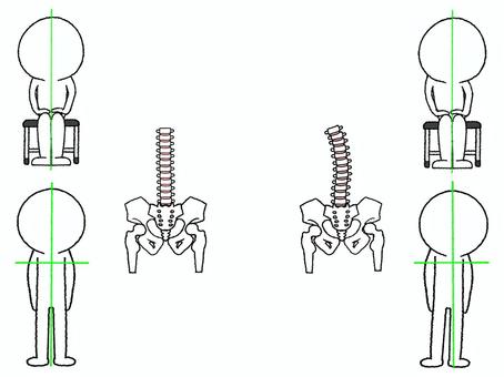 背骨など 背骨,脊椎,骨,姿勢,傾き,歪み,ねじれ,骨盤,股関節,pop調のイラスト素材