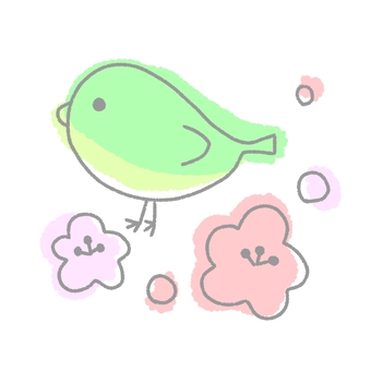 鶯/一個, JPG 和 PNG 鶯/一個, 梅花, 春天, 素材, JPG 和 PNG