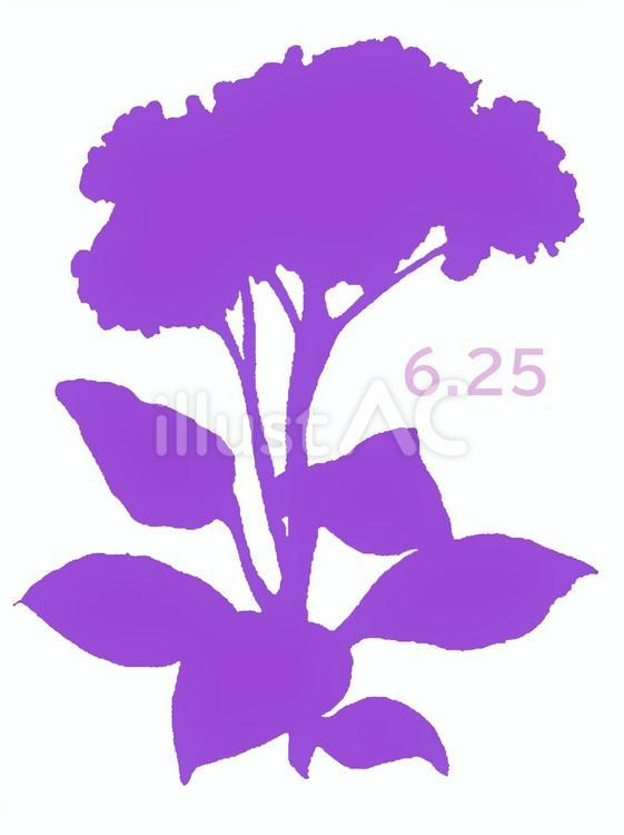 花暦(６月２５日) カレンダー,日めくり,６月２５日のイラスト素材
