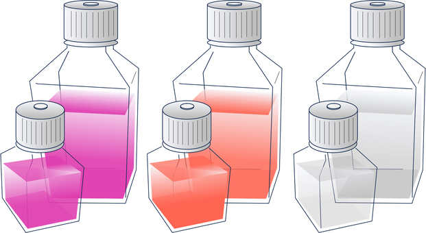 Bottles03 細胞,培養,培養液,ボトル,実験,研究のイラスト素材