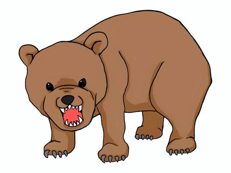 熊 熊,クマ,猛獣,動物,熊害,獣害,キバ,威嚇のイラスト素材