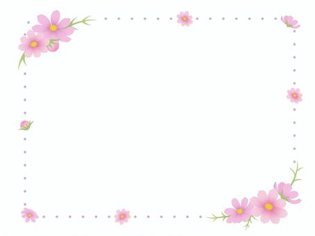 秋桜（コスモス）のフレーム　長方形 コスモス,秋,フレーム,花,長方形,四角,秋桜,かわいい,枠,お花のイラスト素材