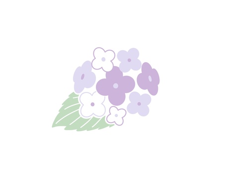 Illustration, hydrangea, plant, rainy season, 