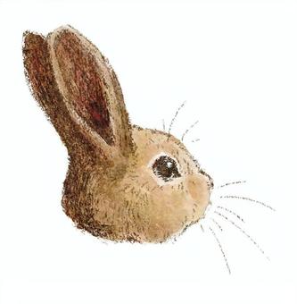 手描きの可愛いウサギ ウサギ,手描き,レトロ,テクスチャ,絵本,動物のイラスト素材