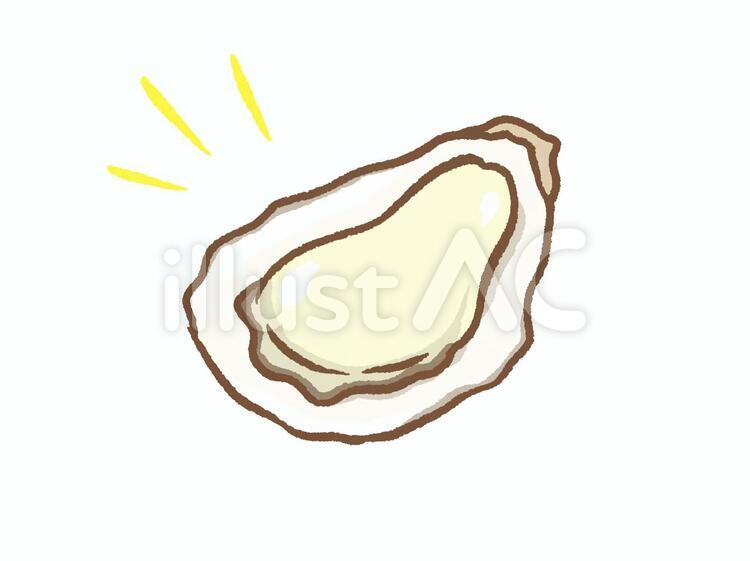 牡蠣 牡蠣,貝,魚介類のイラスト素材