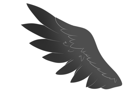 검은날개_왼쪽, JPG 및 PNG 검은날개_왼쪽, 날개, 검정, 천사, JPG 및 PNG