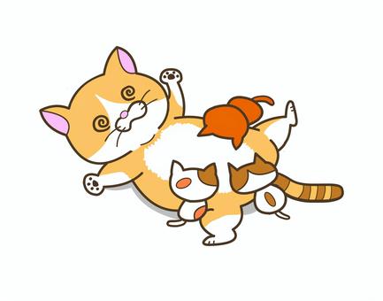 猫　おっぱいをあげる ねこ,マンチカン,短足猫,子猫,授乳,お乳,母猫,お母さん猫のイラスト素材