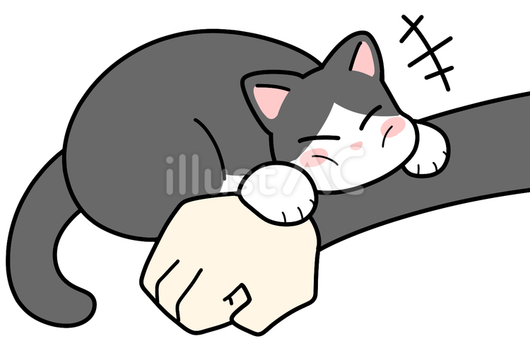 腕枕ぶち猫 ぶち猫,ハチワレ,腕枕のイラスト素材