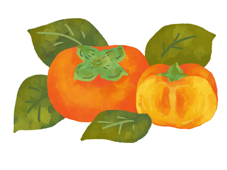 【水彩風手描き】柿と柿の葉 柿,柿の葉,秋,果物,フルーツ,食べ物,植物,柿の実,水彩風,手描きのイラスト素材