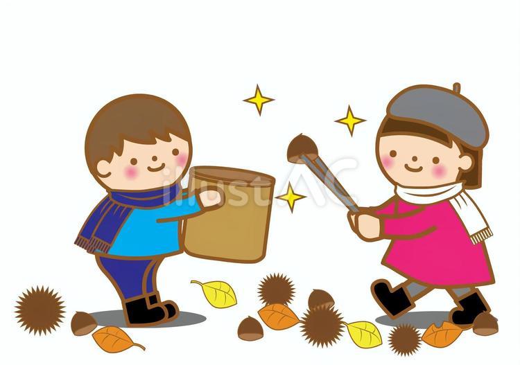 栗拾いをする子供達 栗,秋,拾うのイラスト素材