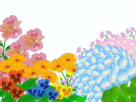 Illustration, flower, spring, early summer, JPG and PNG