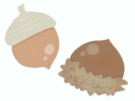 どんぐり ドングリ,茶色,果実,秋,笠,帽子,クヌギ,手描き,かわいいのイラスト素材