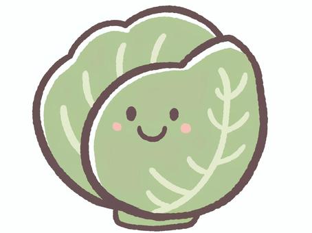美味しい食べ物の野菜のキャベツ