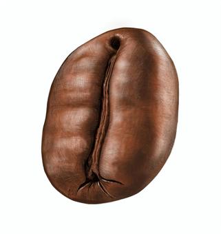 コーヒー豆　イラスト　素材 コーヒー,豆,アイコン,アート,リアル,イラスト,素材のイラスト素材